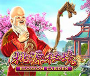 Blossom Garden